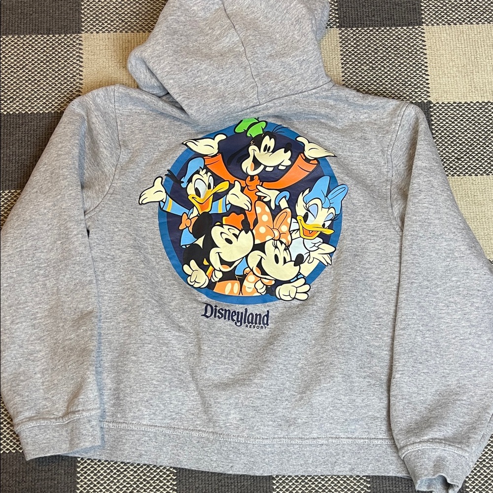 Disneyland 2023 Character zip up hoodie XL